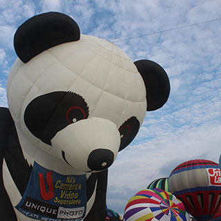 Panda Bear Hot-Air Balloon