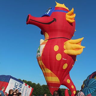 Seahorse Hot Air Balloon